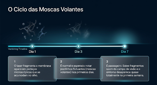Demonstração explicativa de como funciona o ciclo de moscas volantes